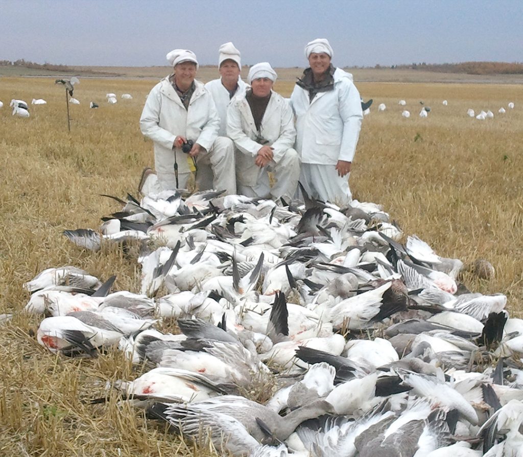Saskatchewan Duck, Goose & Waterfowl Hunting Outfitters