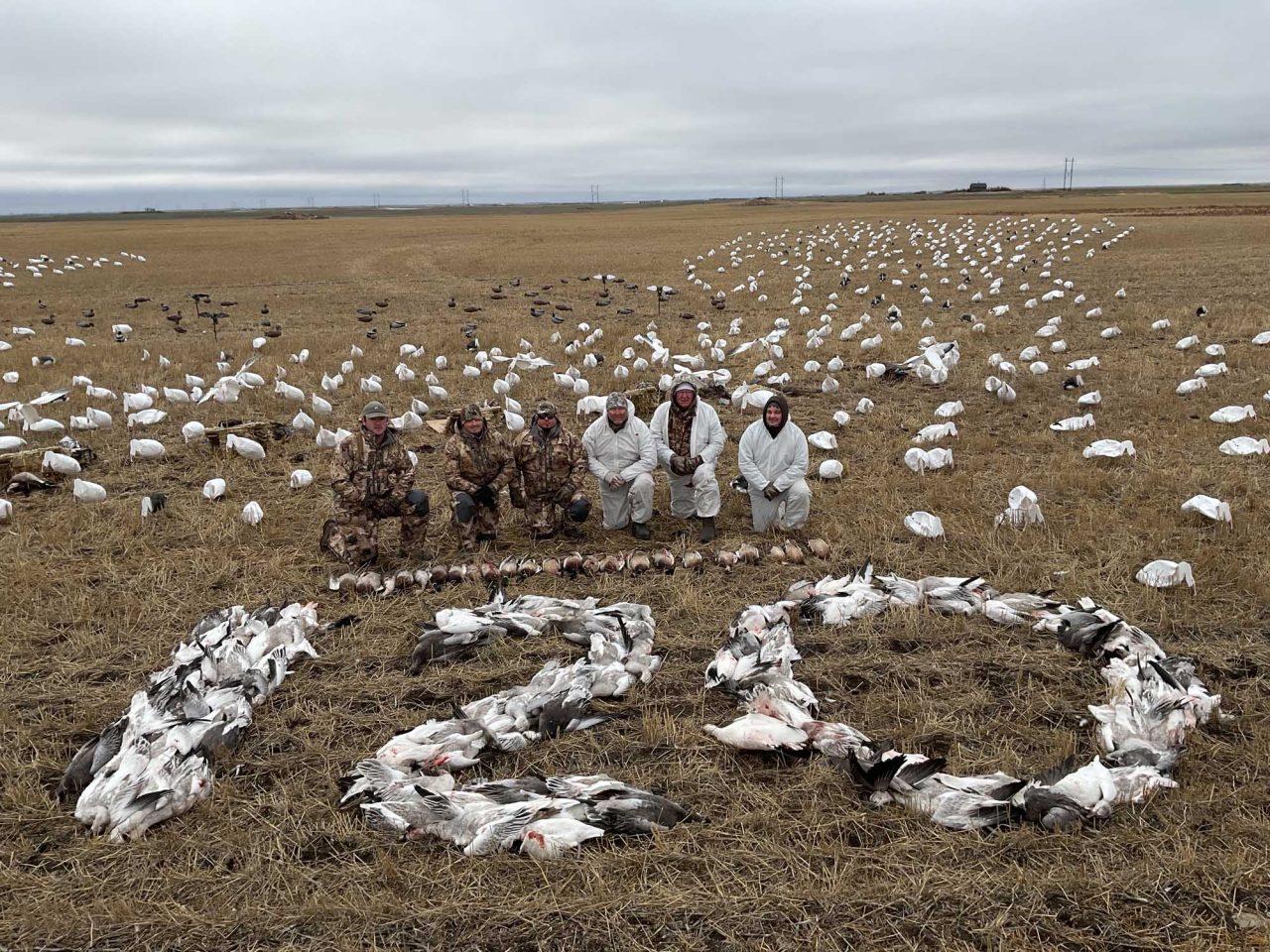 Saskatchewan Duck, Goose & Waterfowl Hunting Outfitters