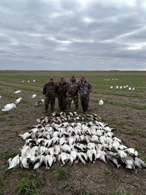 Saskatchewan Duck, Goose & Waterfowl Hunting Outfitters