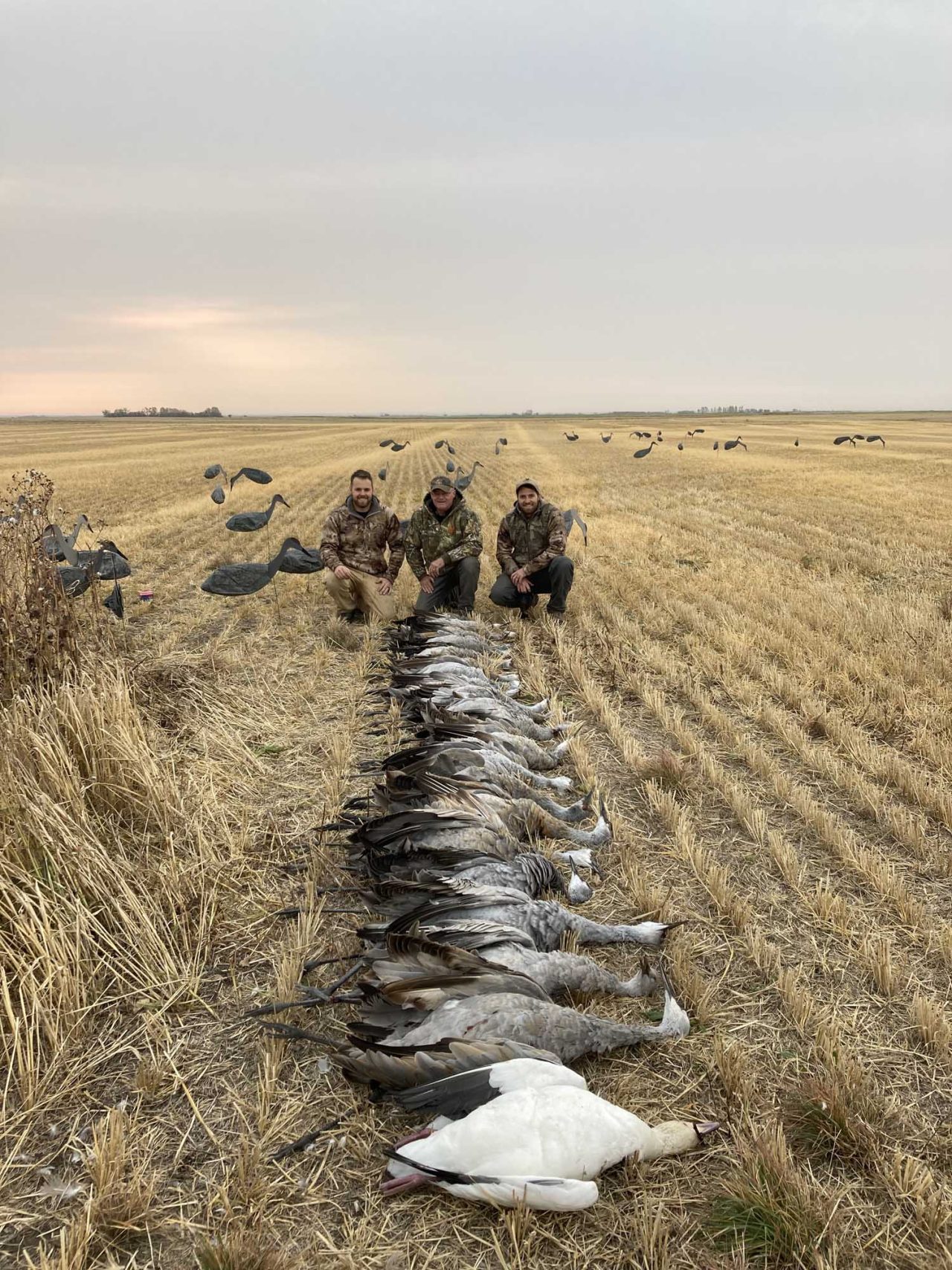 Saskatchewan Duck, Goose & Waterfowl Hunting Outfitters